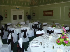 Chair Cover Chocolate Sash